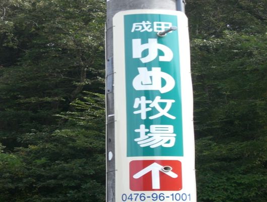 ANZẌēŔ